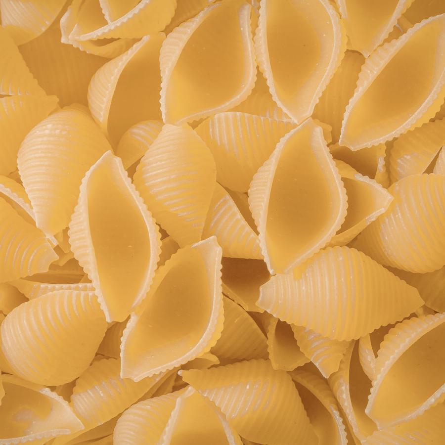 Close-up of yellow shell pasta