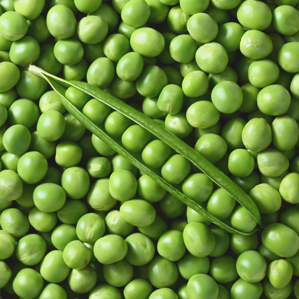 Green peas with a single green pea pod on a background of green peas