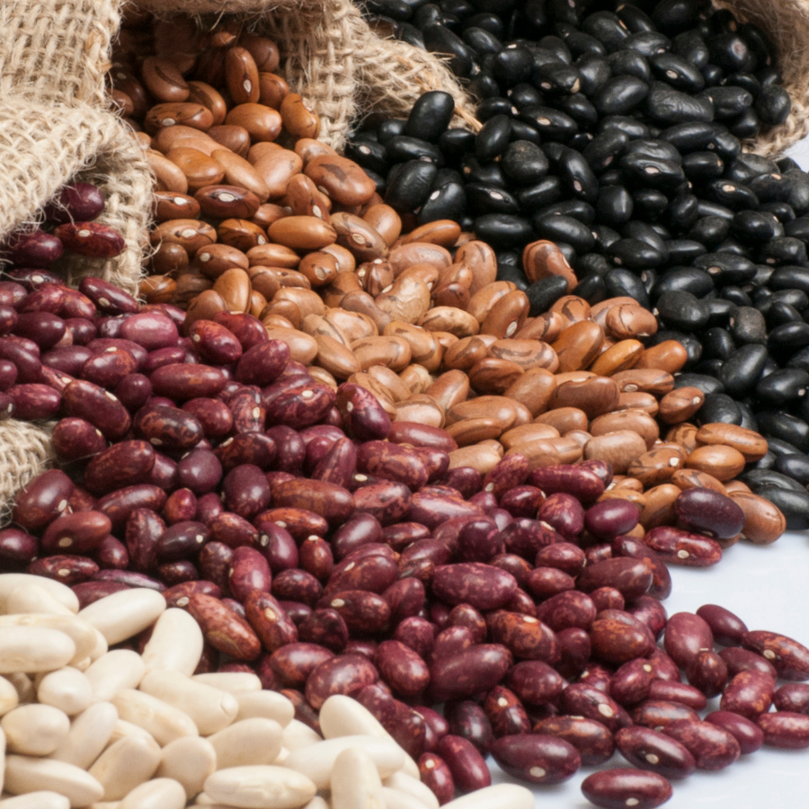 Assorted beans including red, brown, and black on a white background