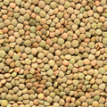 Close-up of green lentils
