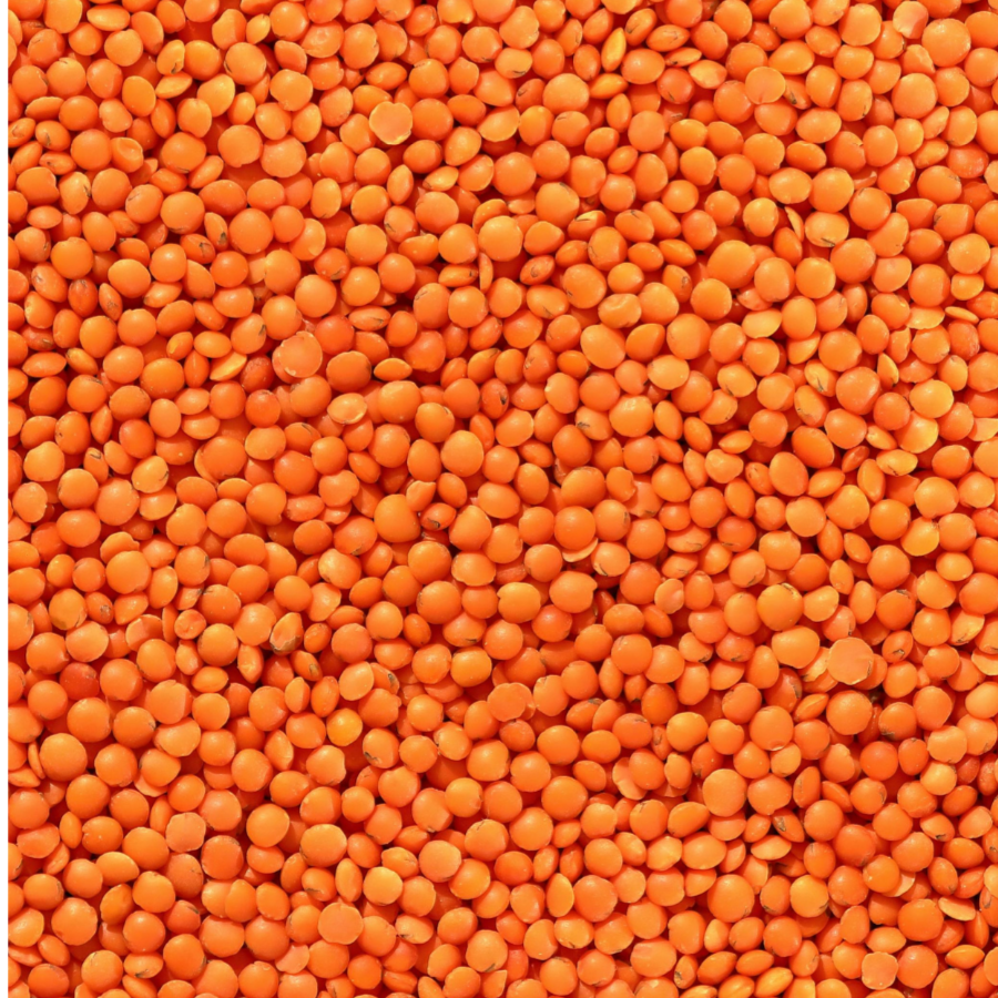 Close-up of orange lentils