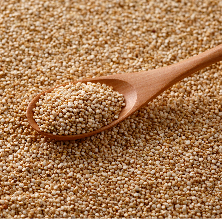 Wooden spoon filled with quinoa seeds on a bed of quinoa grains.