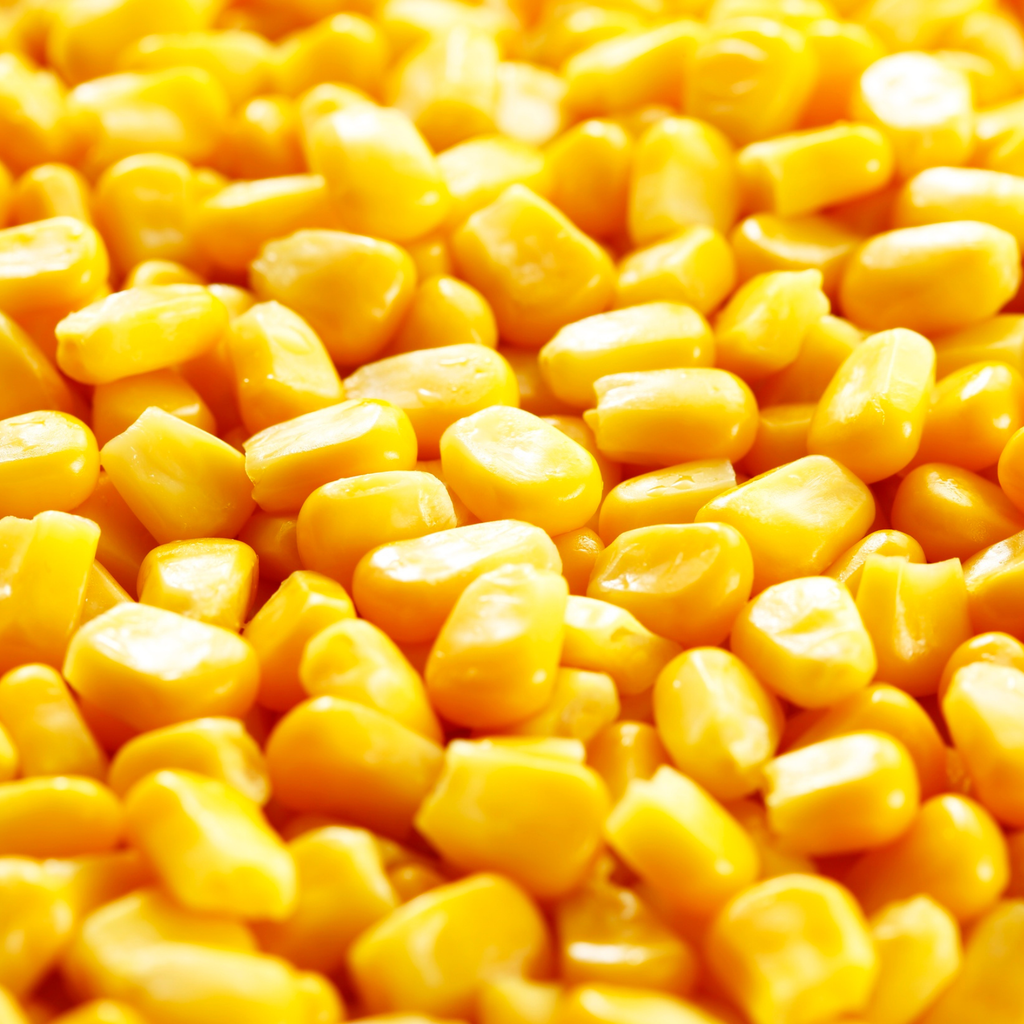 A close-up, top-down view of bright yellow corn kernels filling the entire frame.