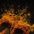 Close-up of orange, red, brown and white spices on a black background