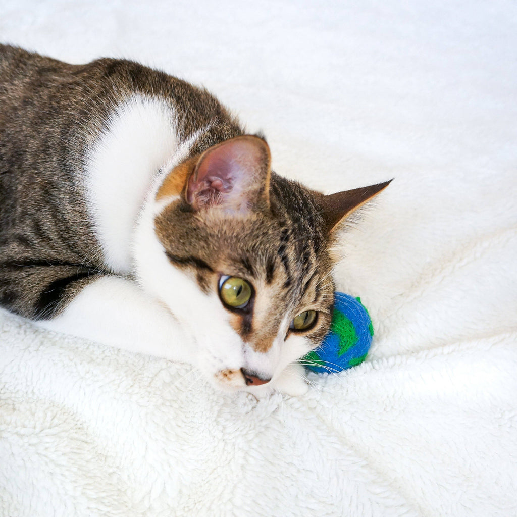 Cats/Dogs For The Planet Eco Toys - Any random 3