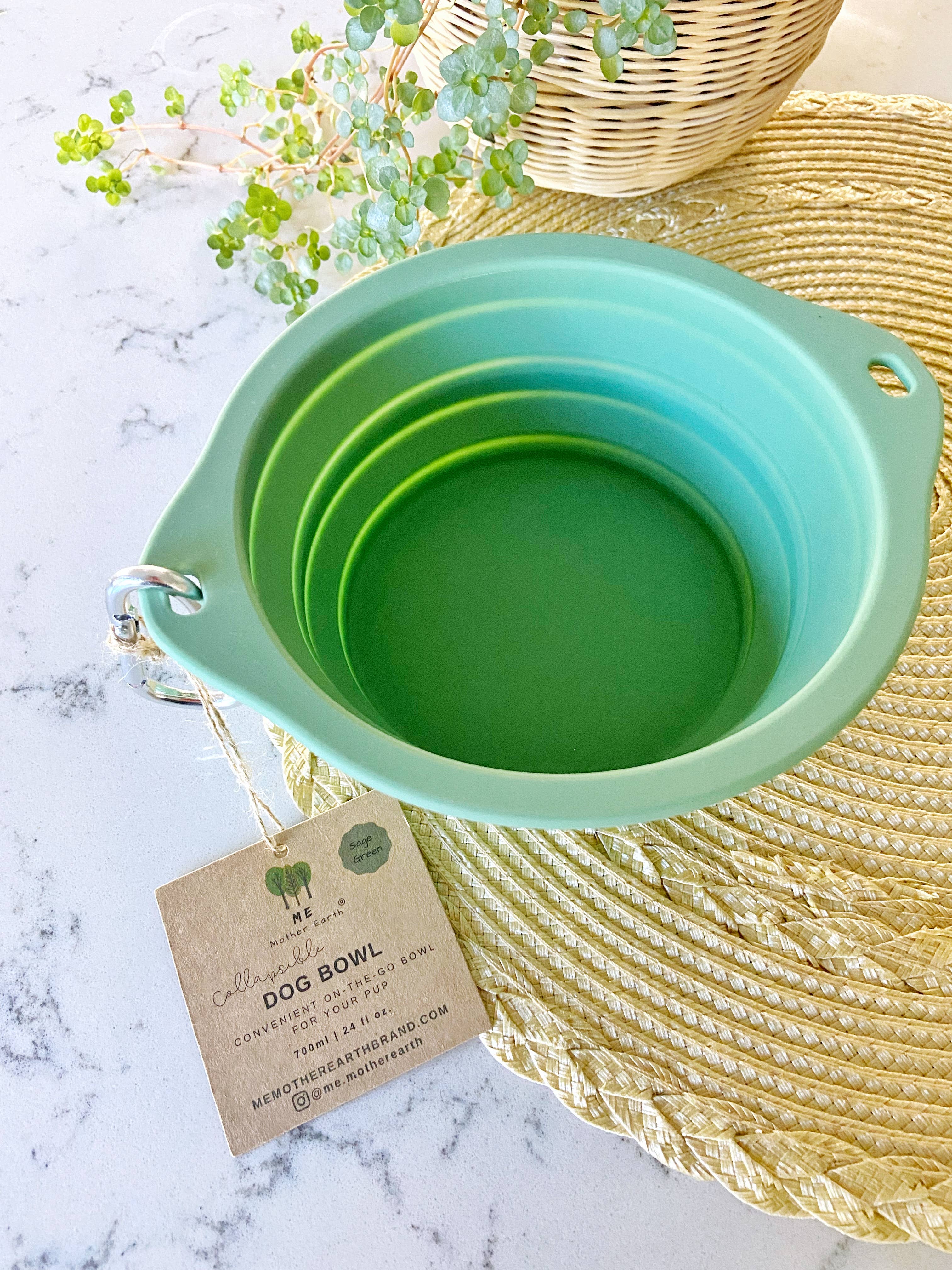 Green collapsible dog bowl on a marble surface with a plant and woven mat in the background