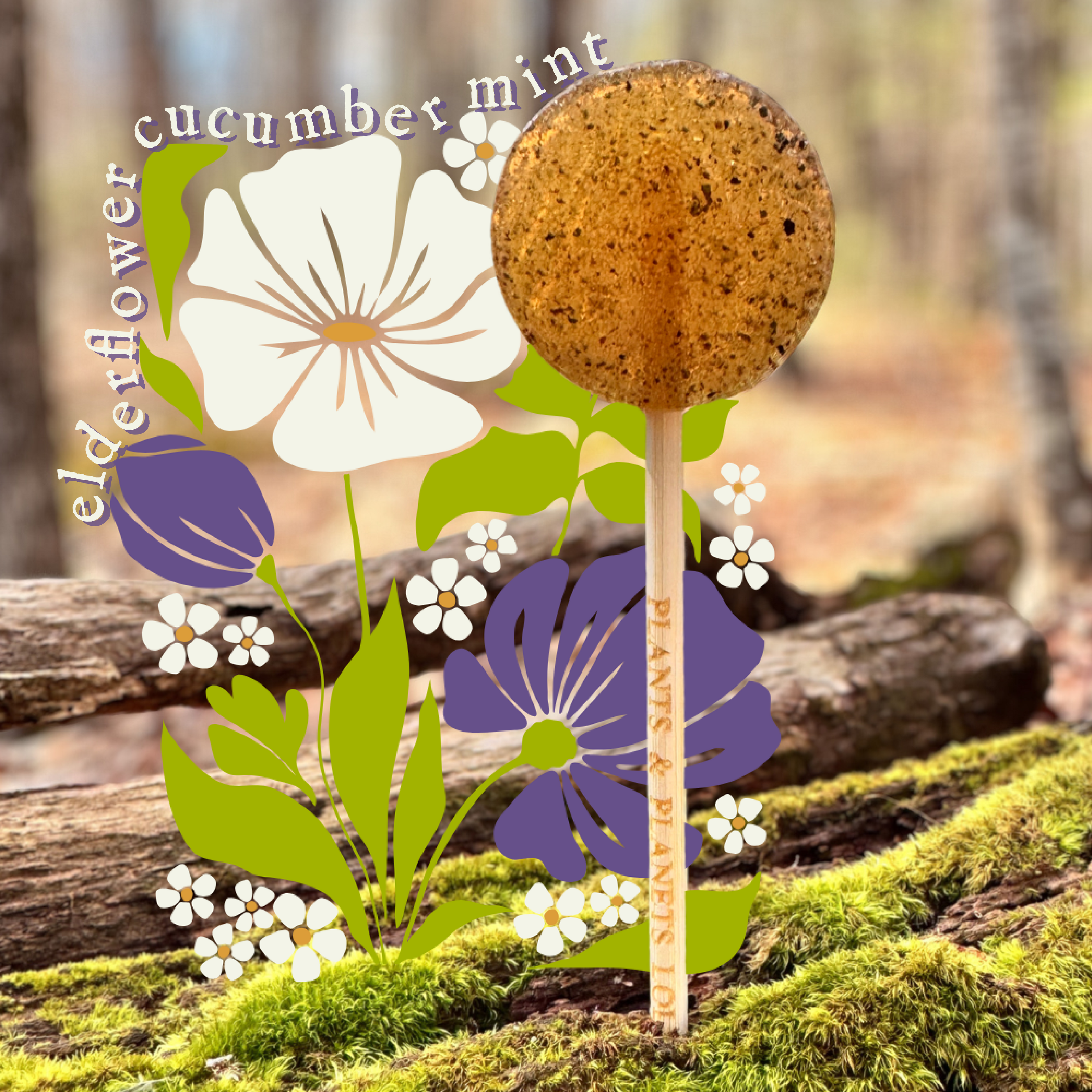 Floral-themed plant pot with 'elderflower cucumber mint' text on a natural background