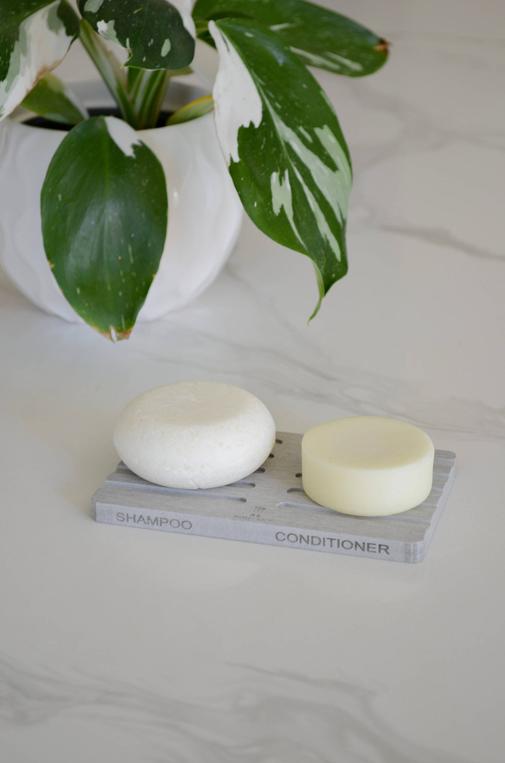 Two soap bars on a small stand with a plant in the background