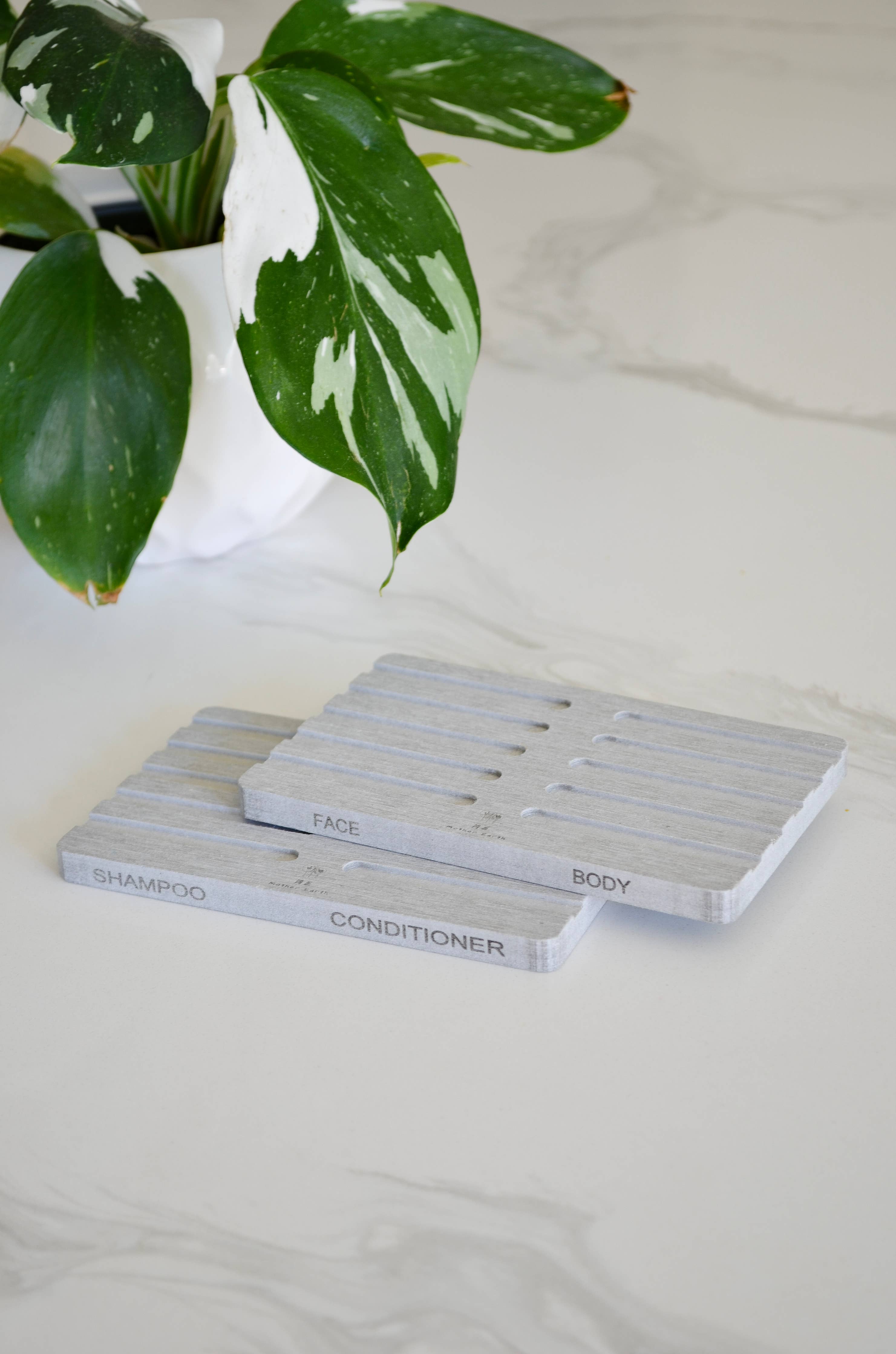 Set of gray soap dishes labeled for different body parts on a light surface with a plant in the background.