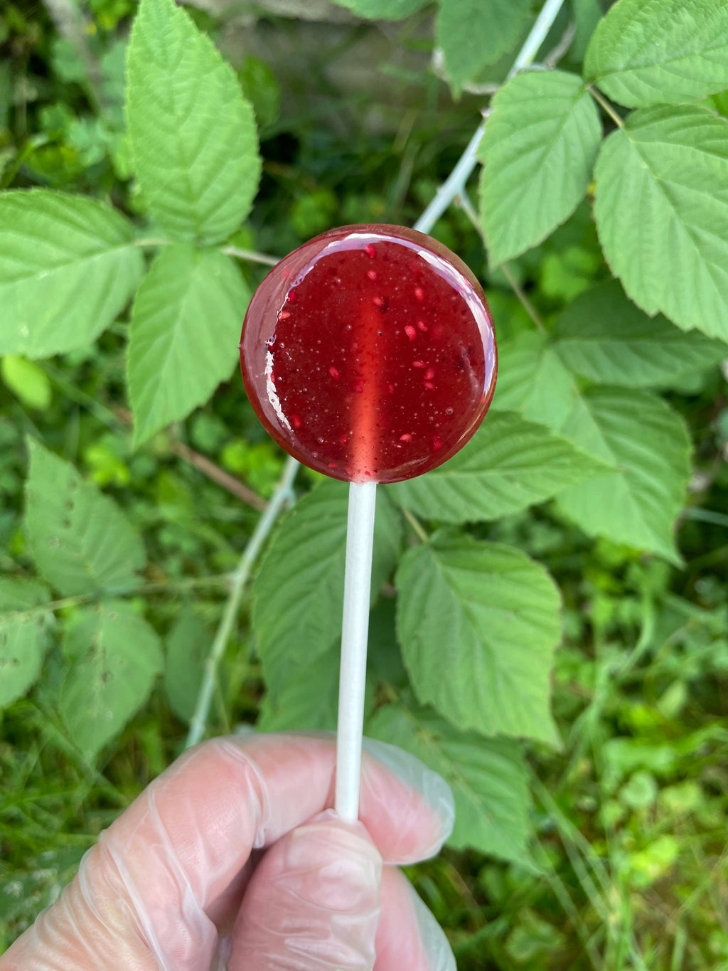 Red lollipop held in front of green leaves