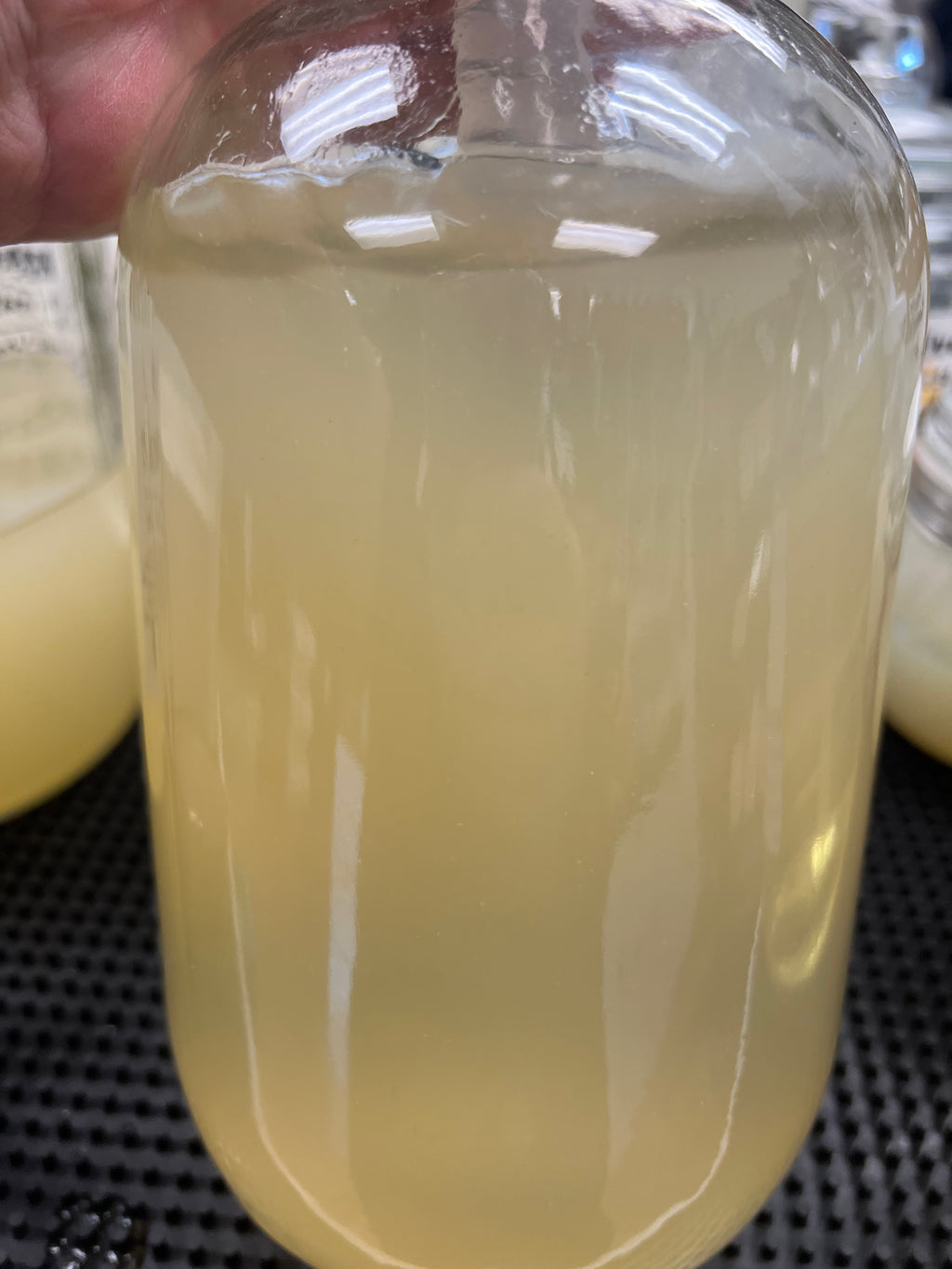 Close-up of a glass bottle with cream colored gel held by a hand.
