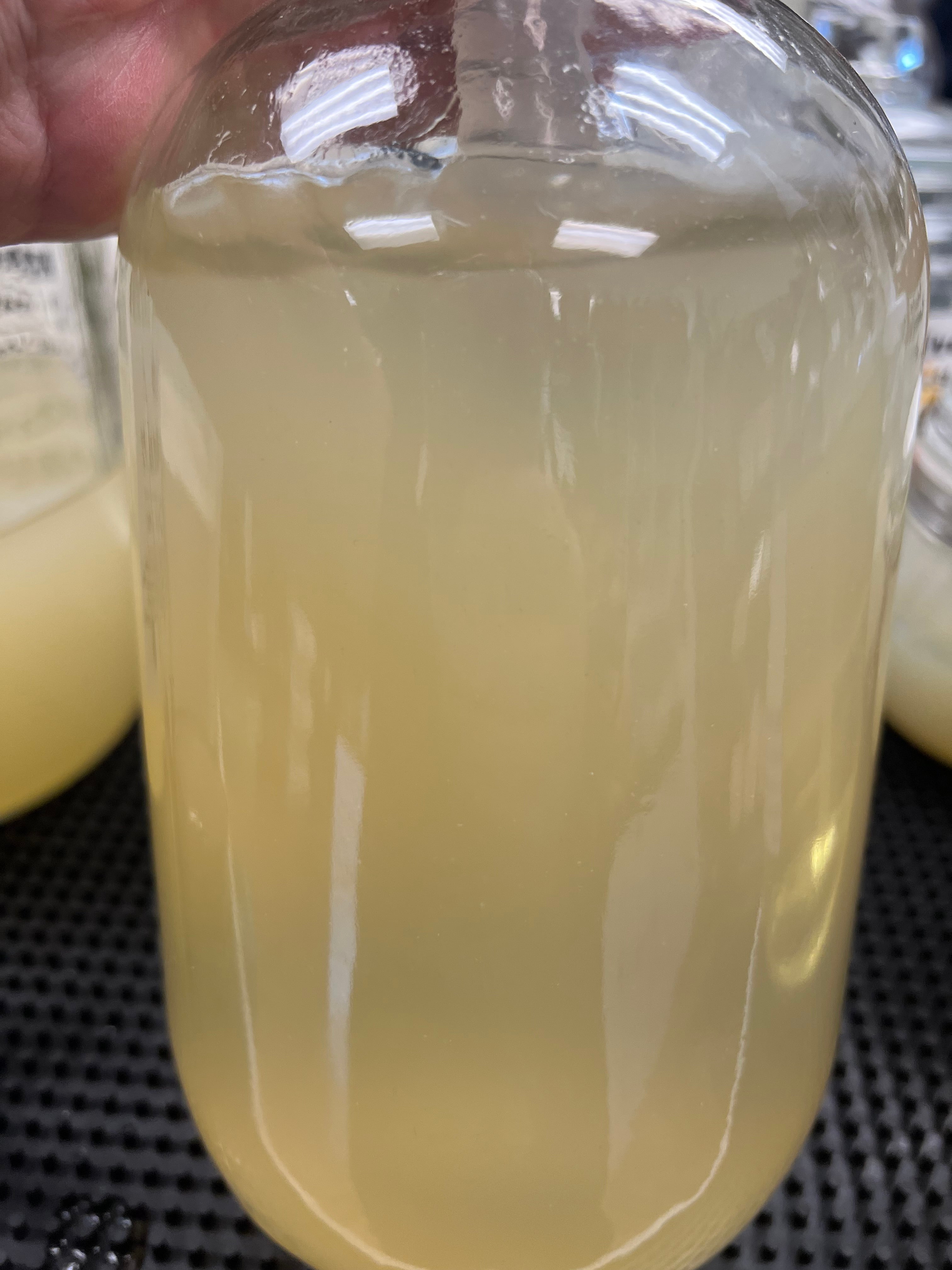 Close-up of a glass bottle with cream colored gel held by a hand.
