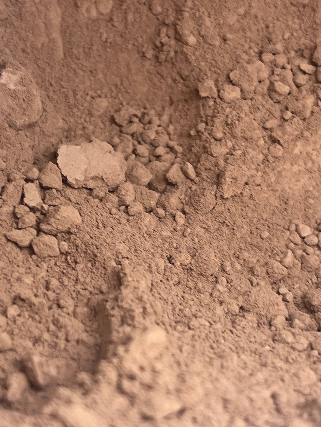 Close-up of cocoa powder
