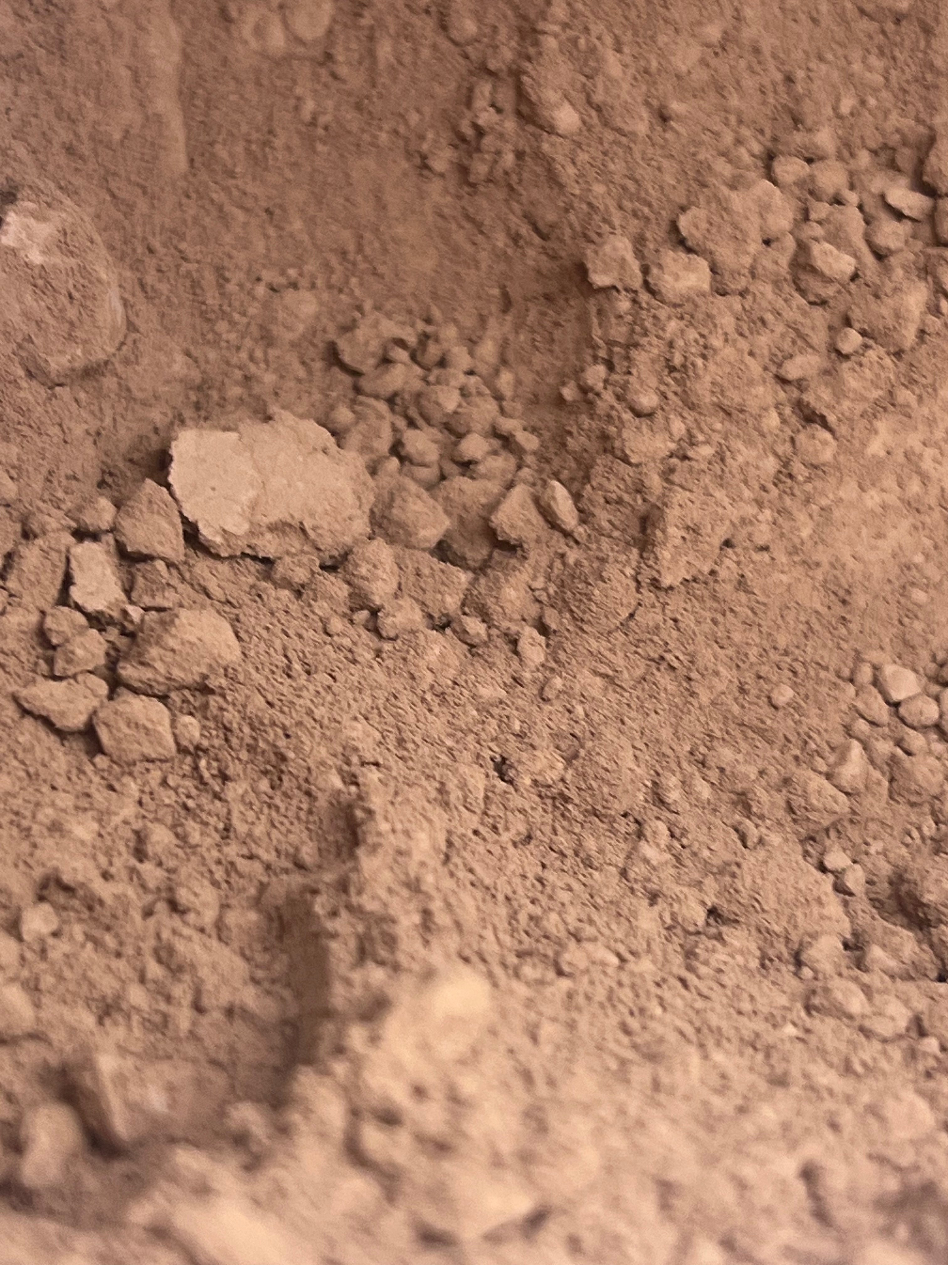 Close-up of cocoa powder
