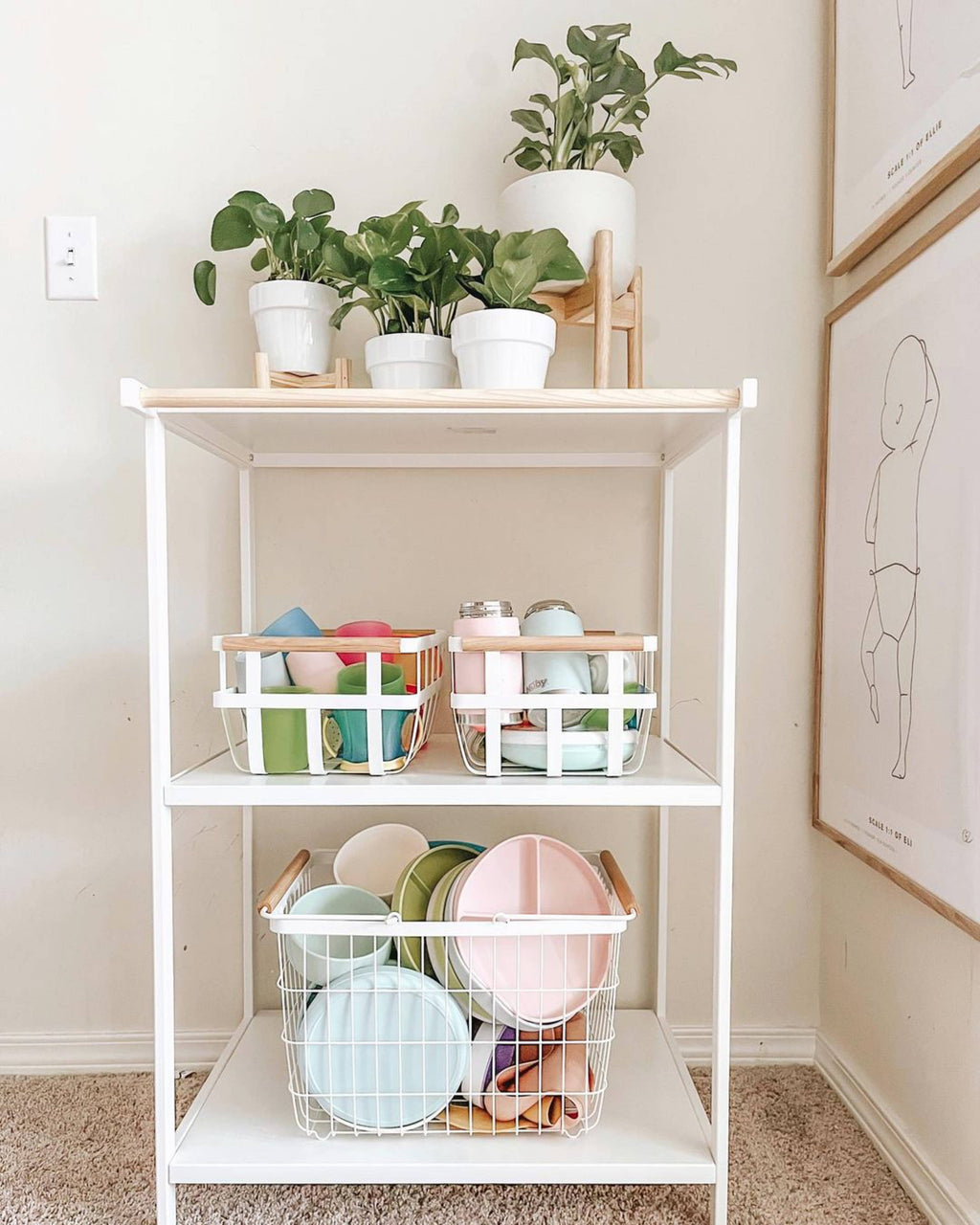 Baby Plate with Suction and  Divided Portions (Pink)