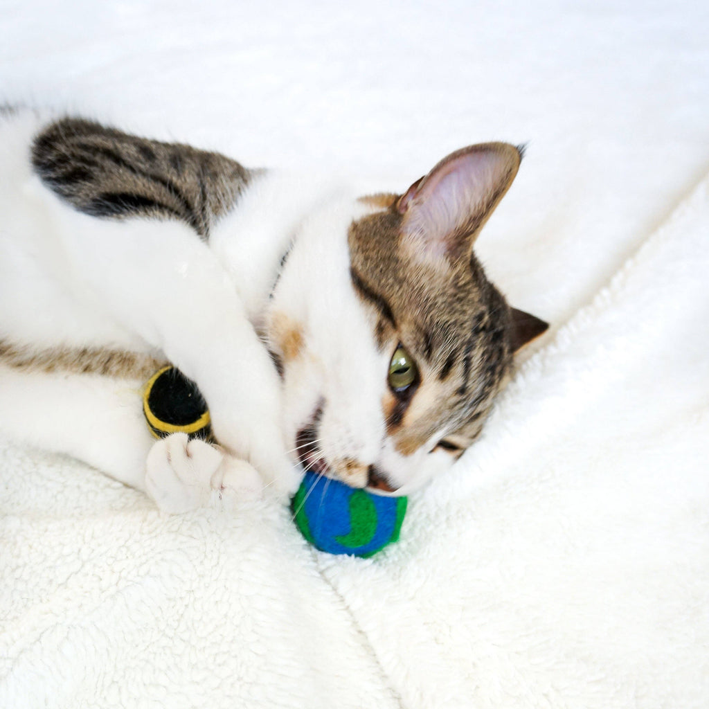 Cats/Dogs For The Planet Eco Toys - Any random 3