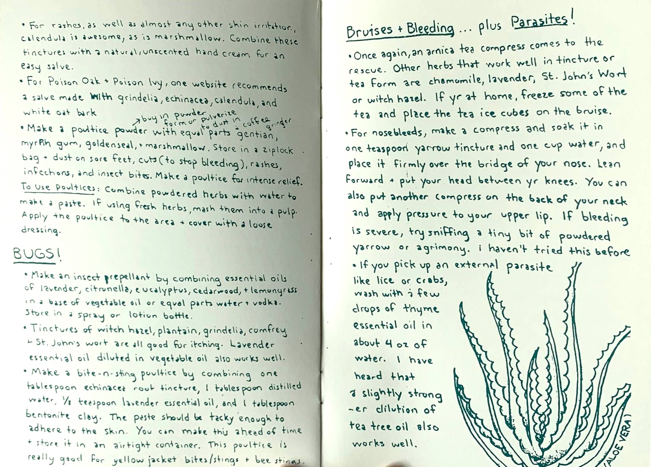 Herbal First Aid: Assembling a Natural First Aid Kit (Zine)